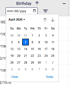 Date Picker Filter